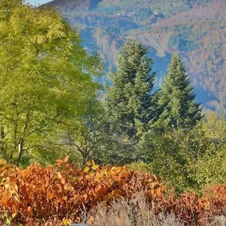 Montagne Bourbonnaise 12-14 Pers, Animaux Autorises - Fr-1-489-343 *